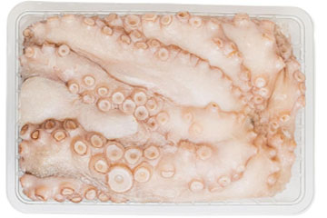 Fresh Raw Octopus