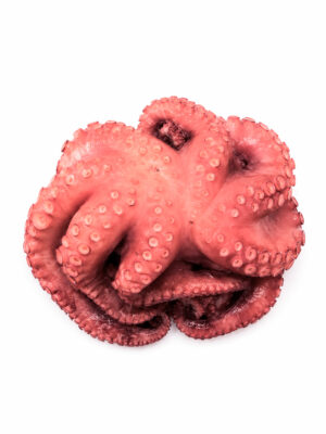 Pulpo en Flor Cocido